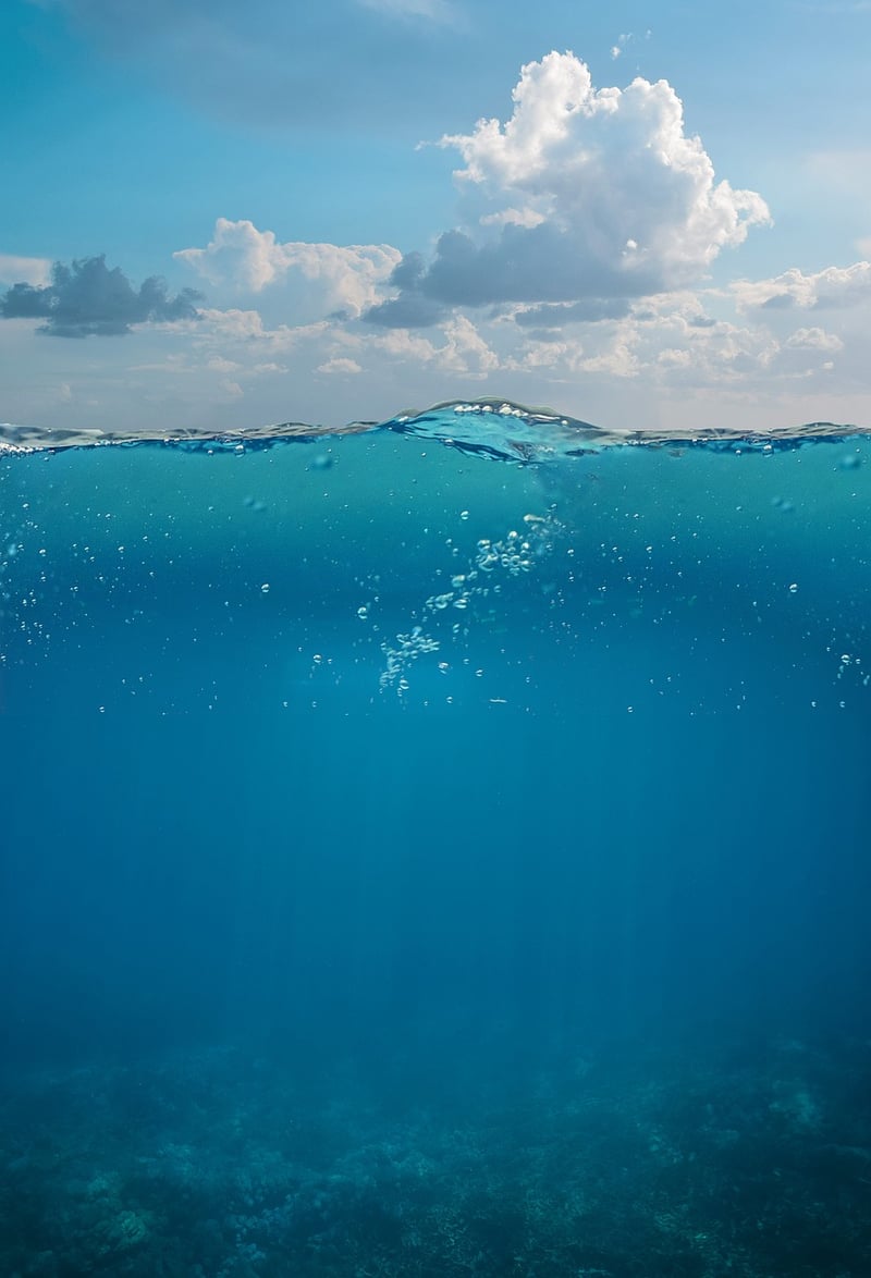 Underwater Wonderland